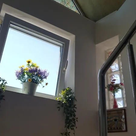 Vila Liz ゲストハウス 3*