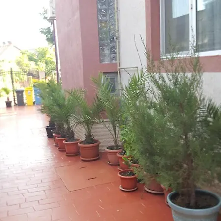 Vila Liz ゲストハウス エフォリエ・ノルド