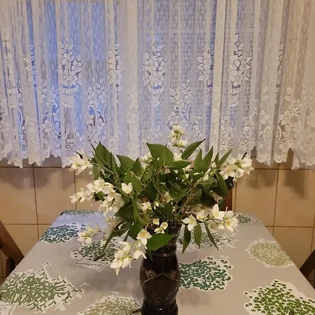 ゲストハウス Vila Liz 3*