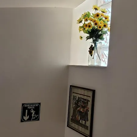 Vila Liz エフォリエ・ノルド