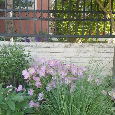 Vila Liz Casa de hóspedes Eforie Nord