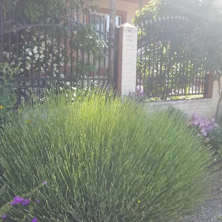 Casa de hóspedes Vila Liz