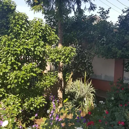 Casa de hóspedes Vila Liz