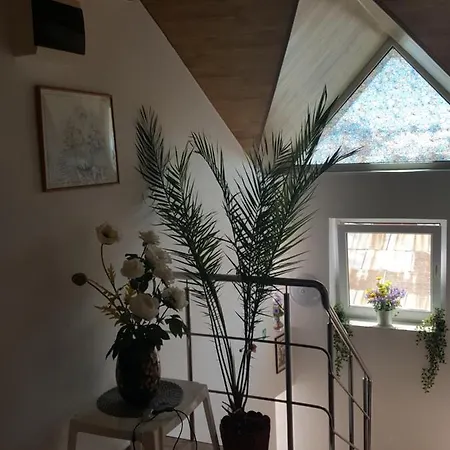 Vila Liz 3* Eforie Nord