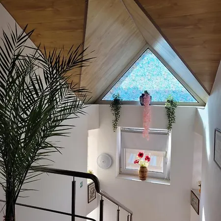 Vila Liz 3* Eforie Nord