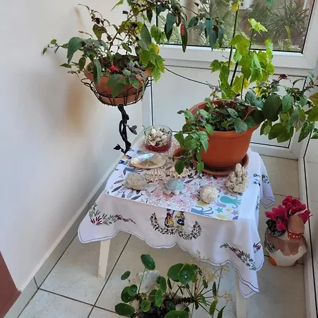 Vila Liz Casa de hóspedes 3*